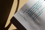 Load image into Gallery viewer, Bible in a Year Journal- The Sacred Year
